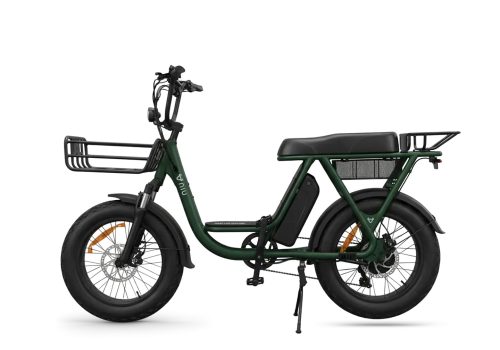 NIU BQI200 - Vert Mat